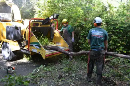 tree services Greenwood Village